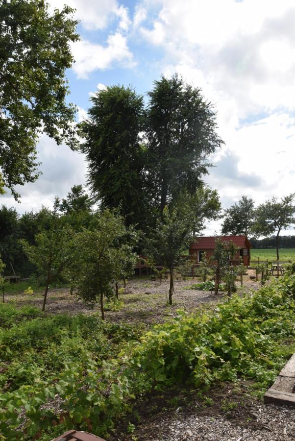 Hoeve Delshorst Heibloem Eksteriør billede