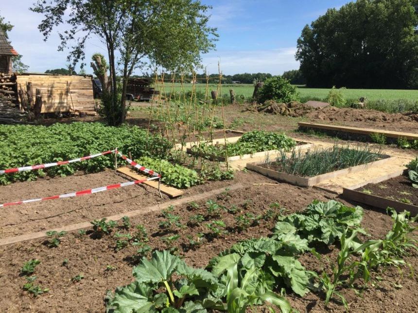 Hoeve Delshorst Heibloem Eksteriør billede